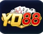 KQBD IN - Kết quả bóng đá trực tiếp mùa giải 2026/27 24/7 2 ca25be840ce4363f02d9ec39893eda3c
